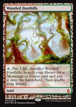 画像1: (BFZ-EX)Wooded Foothills/樹木茂る山麓(英,EN)