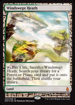 画像1: (BFZ-EX)Windswept Heath/吹きさらしの荒野(英,EN)