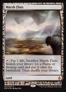 画像1: (BFZ-EX)Marsh Flats/湿地の干潟(英,EN)