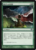 (CON-U)Shard Convergence/断片の収斂(英,EN)