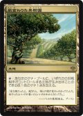 (CON-R)Exotic Orchard/風変わりな果樹園(英,EN)