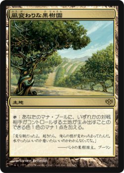 画像1: $FOIL$(CON-R)Exotic Orchard/風変わりな果樹園(日,JP)