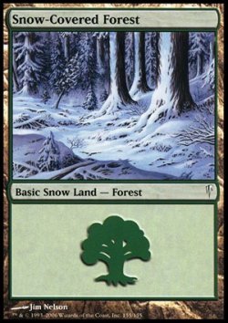 画像1: (CSP-C)Snow-Covered Forest/冠雪の森(JP,ENG)