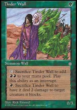 画像1: (ICE-C)Tinder Wall/ほくちの壁(英,EN)