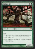 (ISD-M)Tree of Redemption/解放の樹(日,JP)