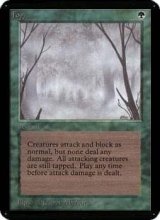 (CEIE-CG)Fog/濃霧(英,EN)