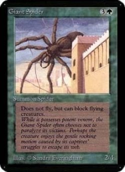 画像1: (CEIE-CG)Giant Spider/大蜘蛛(英,EN)