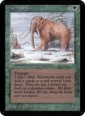 (CEIE-CG)War Mammoth/ウォー・マンモス(英,EN)