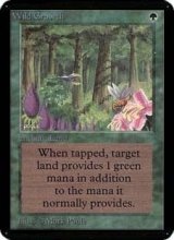 (CEIE-CG)Wild Growth/繁茂(英,EN)