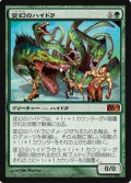 (M10-M)Protean Hydra/変幻のハイドラ(ENG)