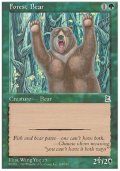 (PO3-Common)Forest Bear/森の熊(英,English)