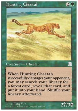 画像1: (PO3-UC)Hunting Cheetah/狩りをする豹(日,中,JP,CHI)
