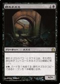 (RTR-R)Pack Rat/群れネズミ(英,EN)