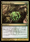 $FOIL$(RTR-U)Golgari Charm/ゴルガリの魔除け(JP)