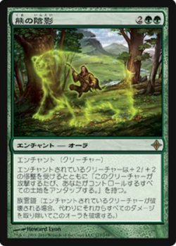 画像1: $FOIL$(ROE-R)Bear Umbra/熊の陰影(JP)