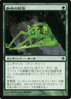 画像1: $FOIL$(ROE-C)Spider Umbra/蜘蛛の陰影(JP)