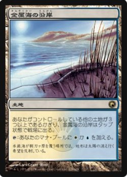 画像1: (SOM-R)Seachrome Coast/金属海の沿岸(日,JP)