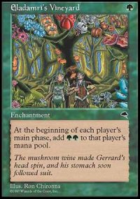 (TMP-R)Eladamri's Vineyard/エラダムリーのぶどう園(英,ENG)