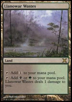 画像1: (10E-R)Llanowar Wastes/ラノワールの荒原(英,ENG)