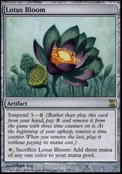 画像1: (TSP-R)Lotus Bloom/睡蓮の花(英,ENG)