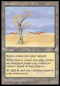 画像1: (VIS-U)Karoo/乾燥高原(英,ENG)