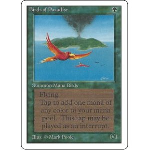 画像: (2ED-RG)Birds of Paradise/極楽鳥