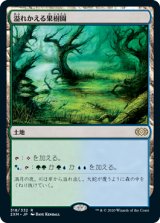 画像: (2XM-RL)Flooded Grove/溢れかえる果樹園(英,EN)