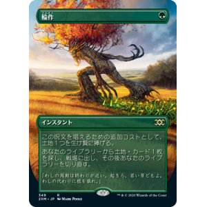 画像: (2XM-Box_Topper-RG)Crop Rotation/輪作(日,JP)