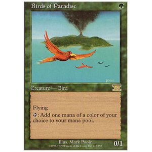 画像: (6ED-R)Birds of Paradise/極楽鳥(英,ENG)