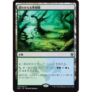 画像: 【Foil】(A25-RL)Flooded Grove/溢れかえる果樹園(JP,EN)