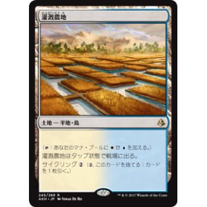 画像: (AKH-RL)Irrigated Farmland/灌漑農地(英,EN)