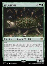 画像: (BLB-RG)Fecund Greenshell/肥えた緑甲羅 【No.0171】(英,EN)