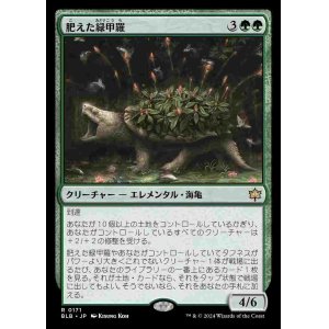 画像: (BLB-RG)Fecund Greenshell/肥えた緑甲羅 【No.0171】(英,EN)