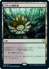 画像: (CMR-RL)Undergrowth Stadium/下生えの競技場(日,JP)