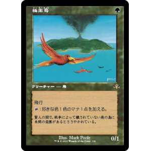 画像: 【FOIL】【旧枠】(DMR-RG)Birds of Paradise/極楽鳥(日,JP)
