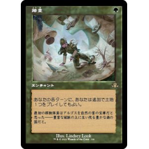 画像: 【FOIL】【旧枠】(DMR-RG)Exploration/踏査(日,JP)