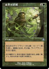 画像: 【FOIL】【旧枠】(DMR-UG)Nature's Lore/自然の知識(日,JP)