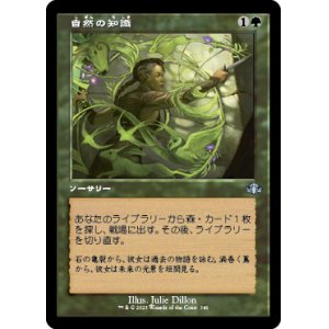 画像: 【旧枠】(DMR-UG)Nature's Lore/自然の知識(日,JP)