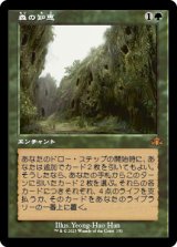 画像: 【FOIL】【旧枠】(DMR-MG)Sylvan Library/森の知恵(日,JP)