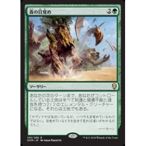 画像: (DOM-RG)Sylvan Awakening/森の目覚め(英,EN)