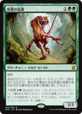 画像: (DTK-MG)Deathmist Raptor/死霧の猛禽(英,EN)