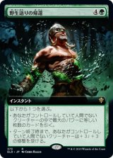 画像: 【Foil】【絵違い】(ELD-RG)Return of the Wildspeaker/野生語りの帰還(日,JP)