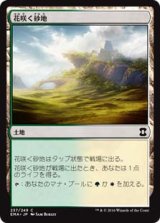 画像: $FOIL$(EMA-CL)Blossoming Sands/花咲く砂地(日,JP)