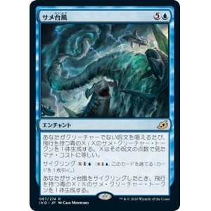 画像: 【Foil】(IKO-RU)Shark Typhoon/サメ台風(日,JP)