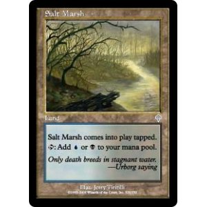 画像: (INV-UL)Salt Marsh/塩の湿地(英,EN)