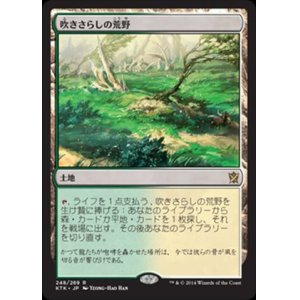 画像: $FOIL$(KTK-RL)Windswept Heath/吹きさらしの荒野(JP)