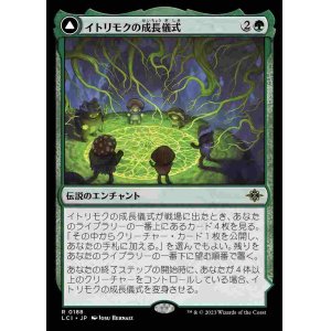 画像: (LCI-RG)Growing Rites of Itlimoc/イトリモクの成長儀式(日,JP)