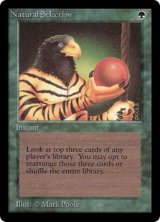画像: (LEB-RG)Natural Selection