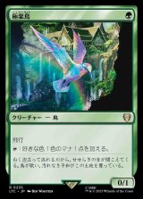 画像: (LTC-RG)Birds of Paradise/極楽鳥(日,JP)