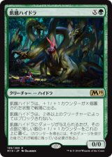 画像: (M19-RG)Hungering Hydra/飢餓ハイドラ(英,EN)